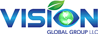 Vision Global Group